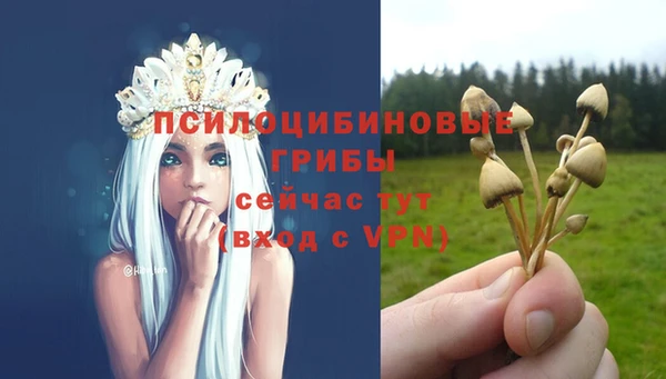 дживик Осинники