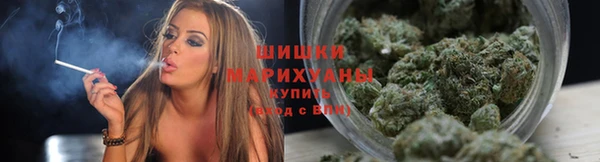 дживик Осинники