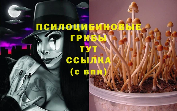 первитин Осташков