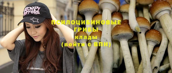бошки Нягань
